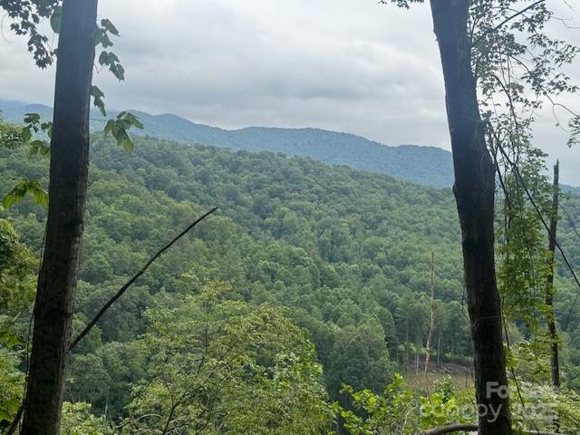 View from the property - 000 N Satellite Mountain Road N, Burnsville
