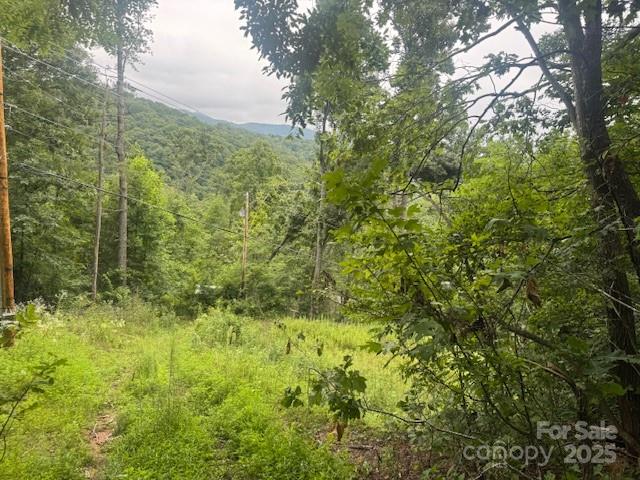 Level area perfect for the location of a house. - 000 N Satellite Mountain Road N, Burnsville