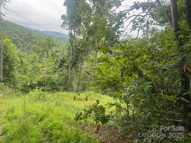 Level area - 000 N Satellite Mountain Road N, Burnsville