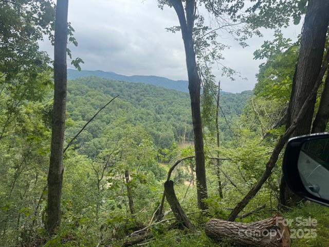 View from the property - 000 N Satellite Mountain Road N, Burnsville