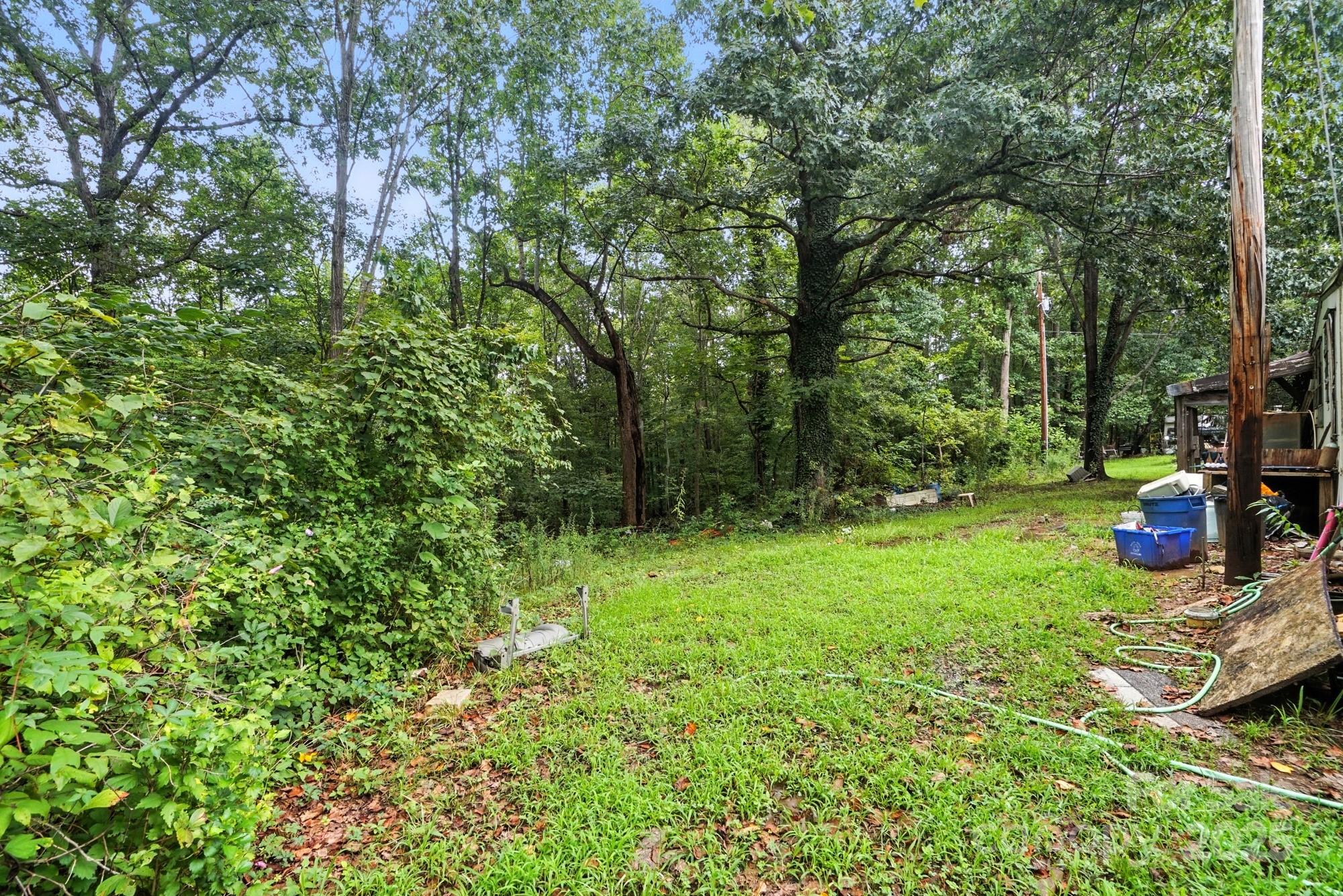 Rear yard of subject is a wooded lot - 450 Dixon School Road, Kings Mountain