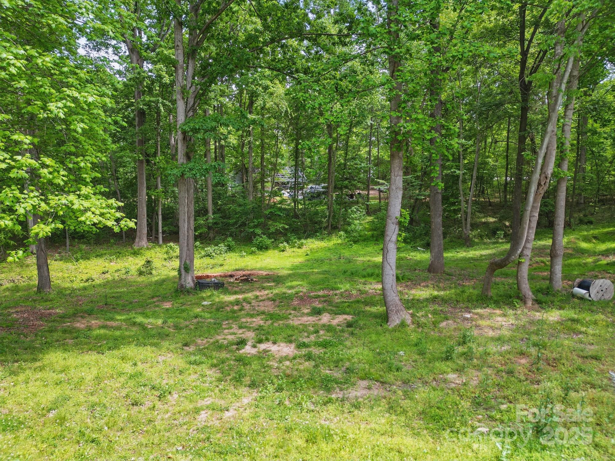 Acreage at 10420 Silver Mine Road, Indian Land, photo 19 of 25