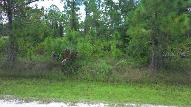 Land at 28072 CRESTWOOD DR, PUNTA GORDA, photo 3 of 15