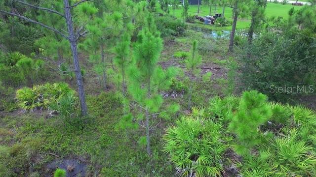 Land at 28072 CRESTWOOD DR, PUNTA GORDA, photo 5 of 15