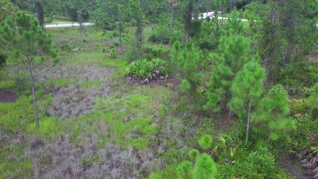 Land at 28072 CRESTWOOD DR, PUNTA GORDA, photo 6 of 15