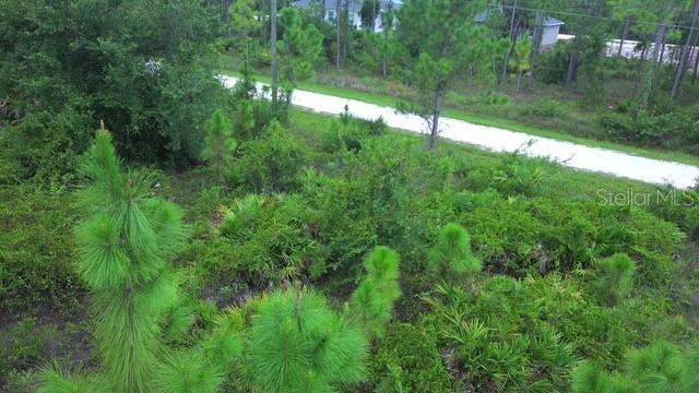 Land at 28072 CRESTWOOD DR, PUNTA GORDA, photo 9 of 15