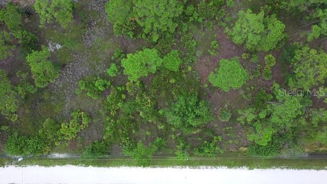 Land at 28072 CRESTWOOD DR, PUNTA GORDA, photo 10 of 15