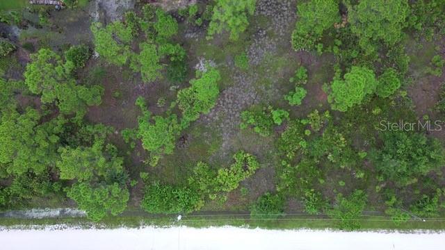 Land at 28072 CRESTWOOD DR, PUNTA GORDA, photo 11 of 15