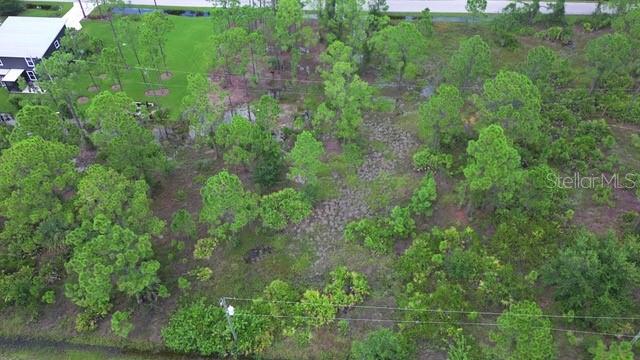Land at 28072 CRESTWOOD DR, PUNTA GORDA, photo 12 of 15