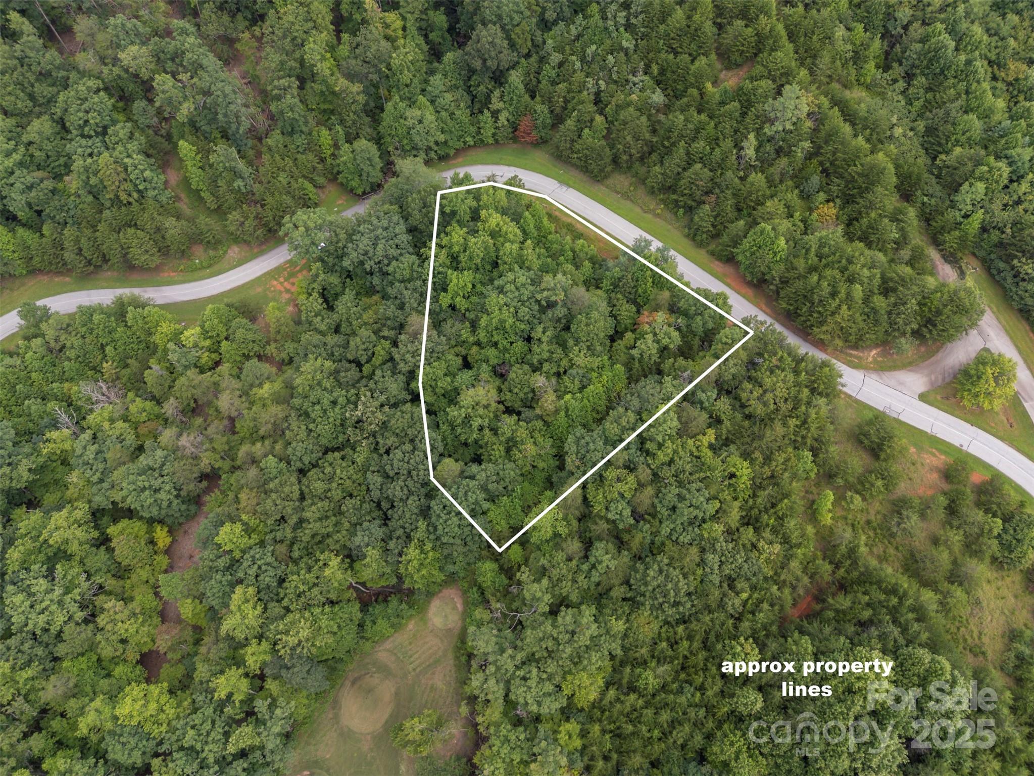 The lot stretches almost down to the tee box. - 00 Deep Gap Road E, Mill Spring