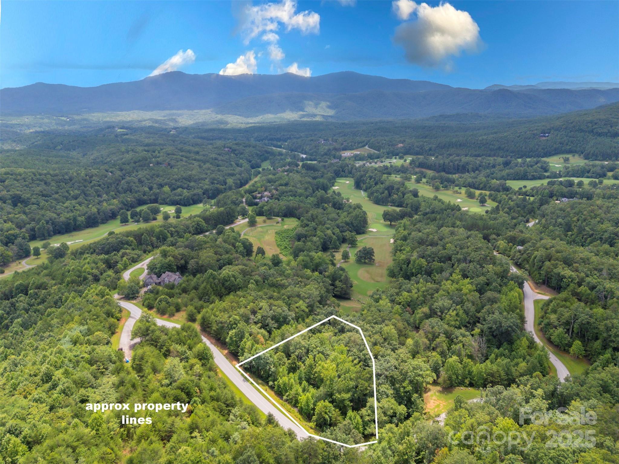 Lot at 00 Deep Gap Road E, Mill Spring, photo 15 of 22