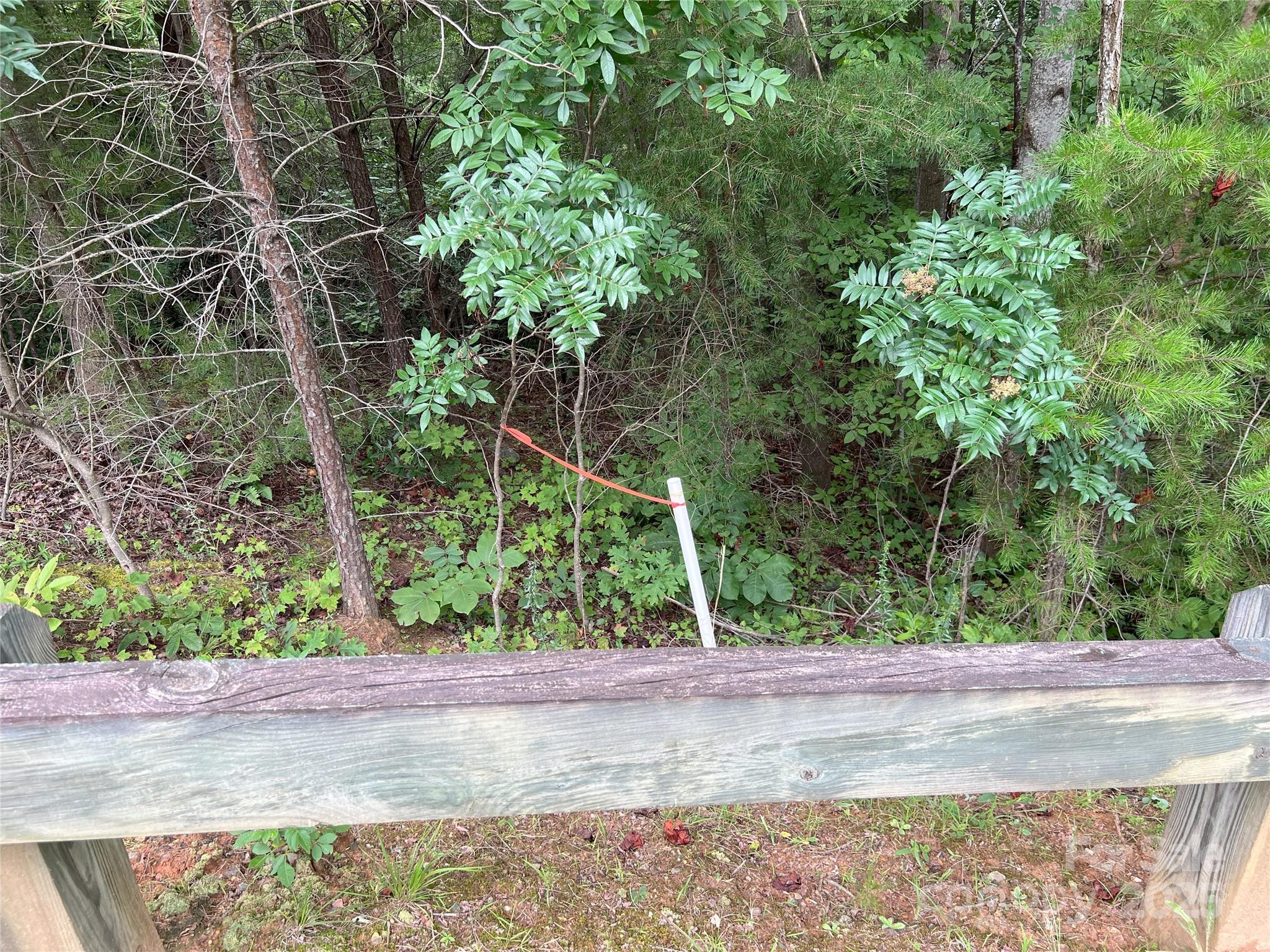 White property boundary stake on left side of lot 97. - 00 Deep Gap Road E, Mill Spring