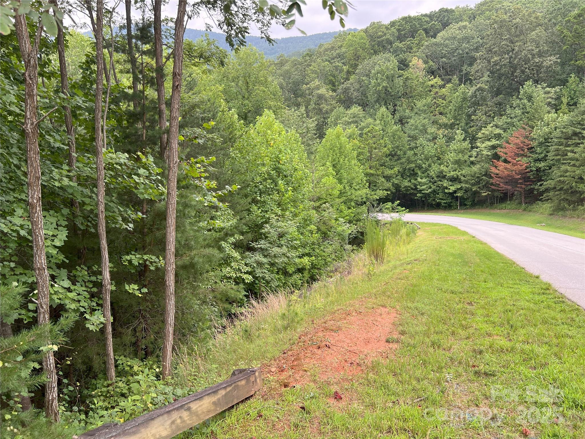 View from left property boundary down E Deep Gap Farm RD.  Lot 97 extends around the curve to the bridge. - 00 Deep Gap Road E, Mill Spring