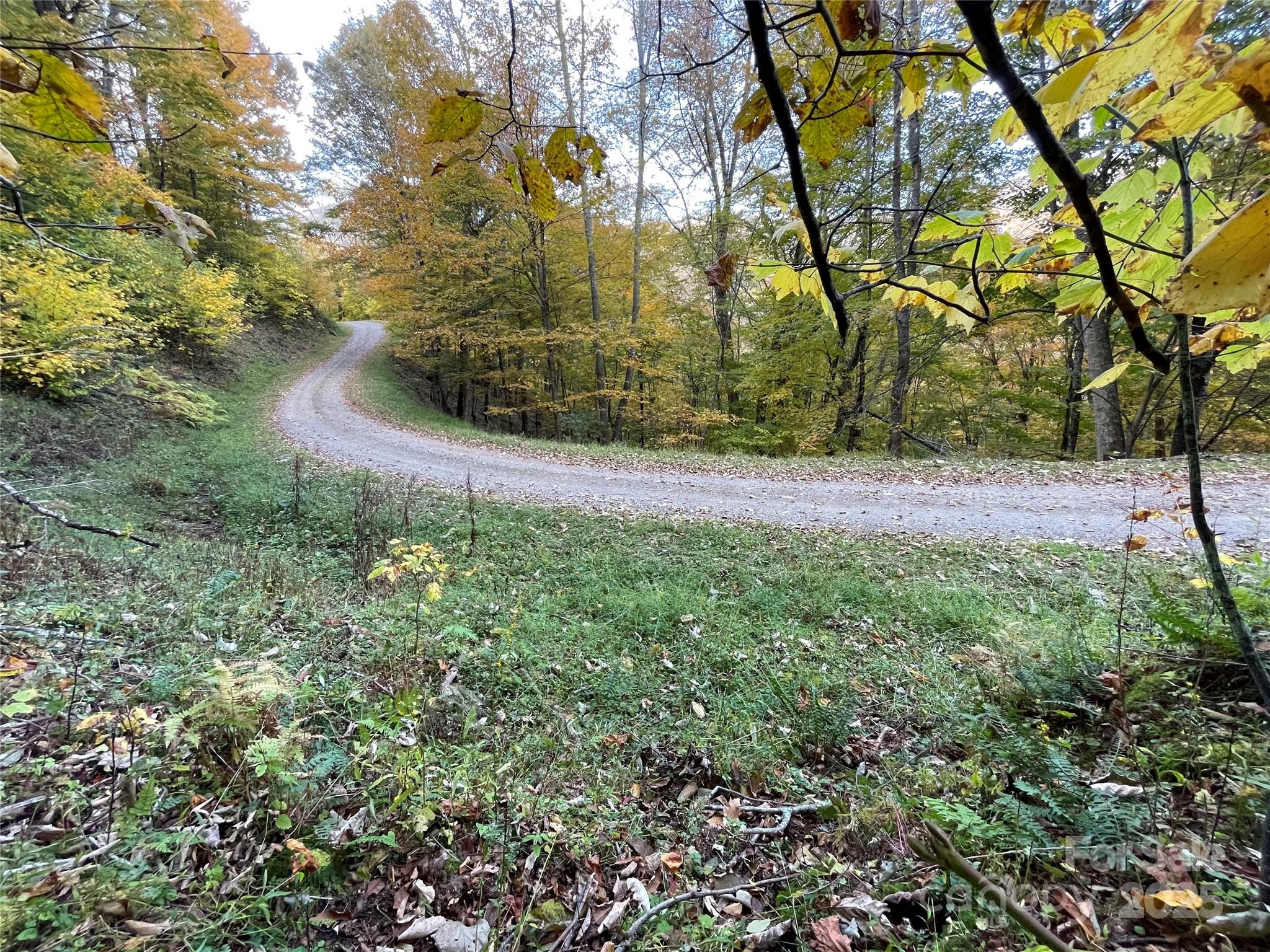 Lot at 96 Chestnut Lane, Mars Hill, photo 2 of 12