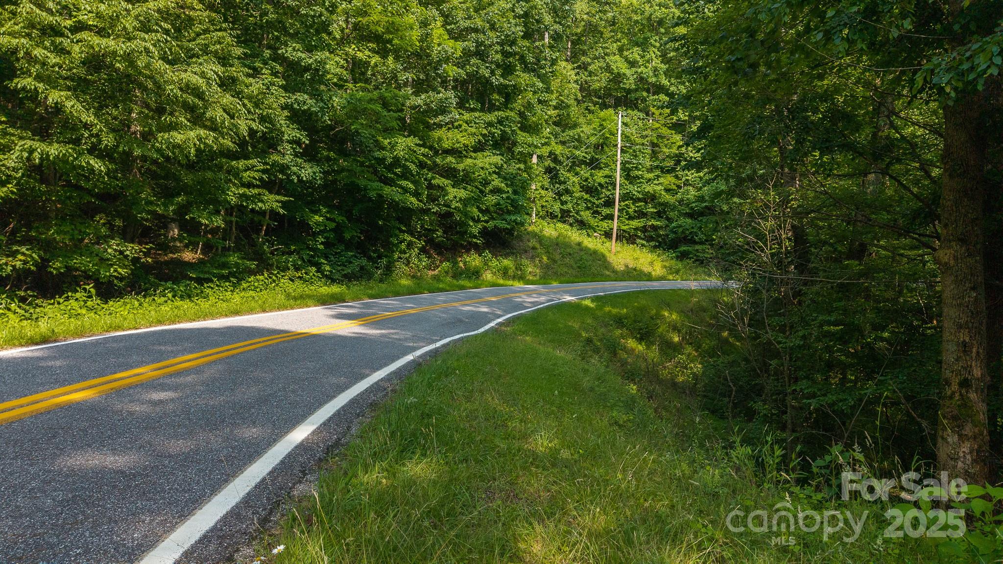Acreage at 0 Brushy Mtn Road, Moravian Falls, photo 2 of 26