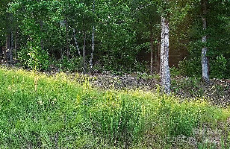 Lot at V/L Ridge Point Road, Nebo, photo 17 of 20