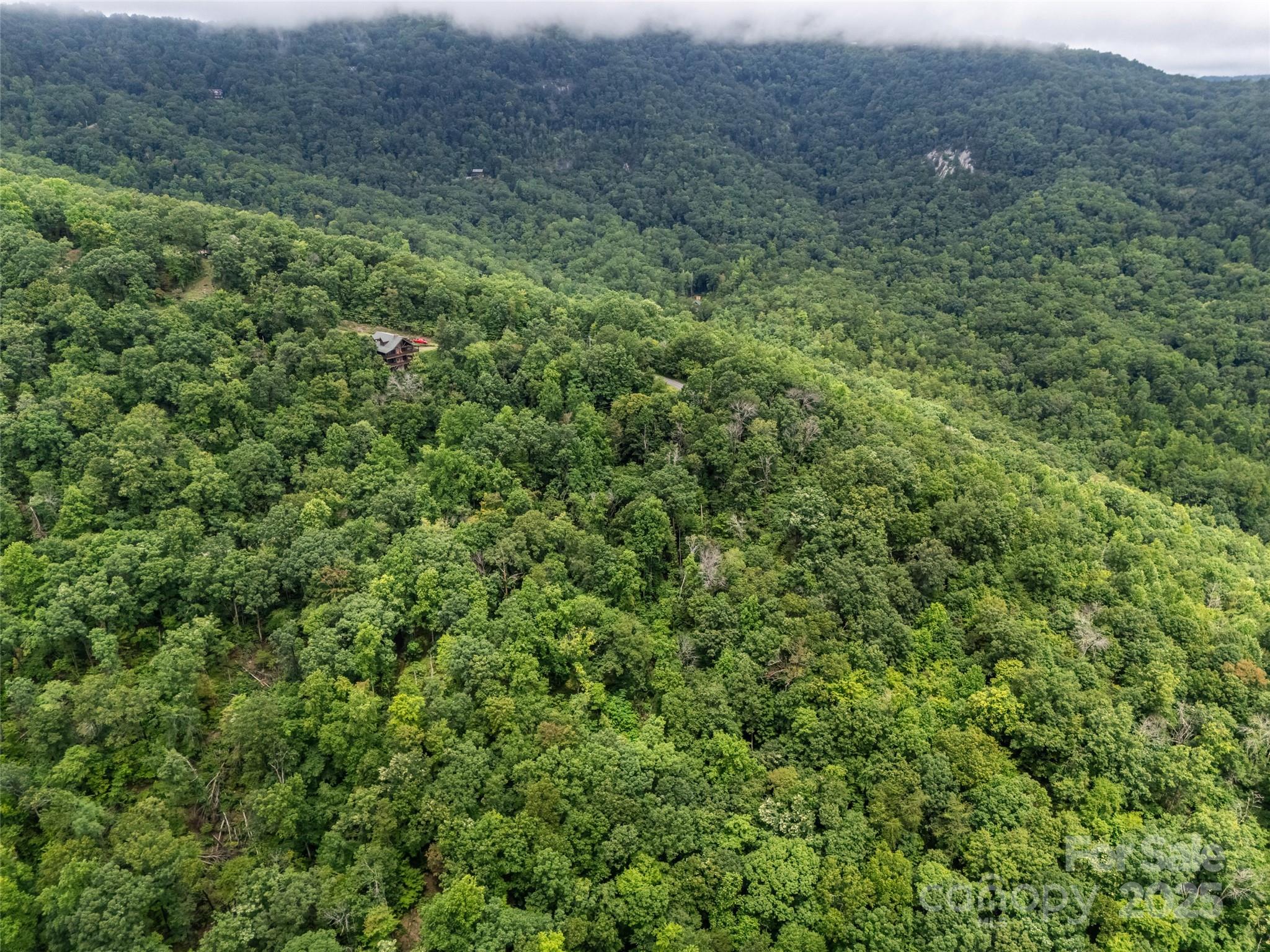 Lot at 0 Peartree Drive, Lake Lure, photo 2 of 27