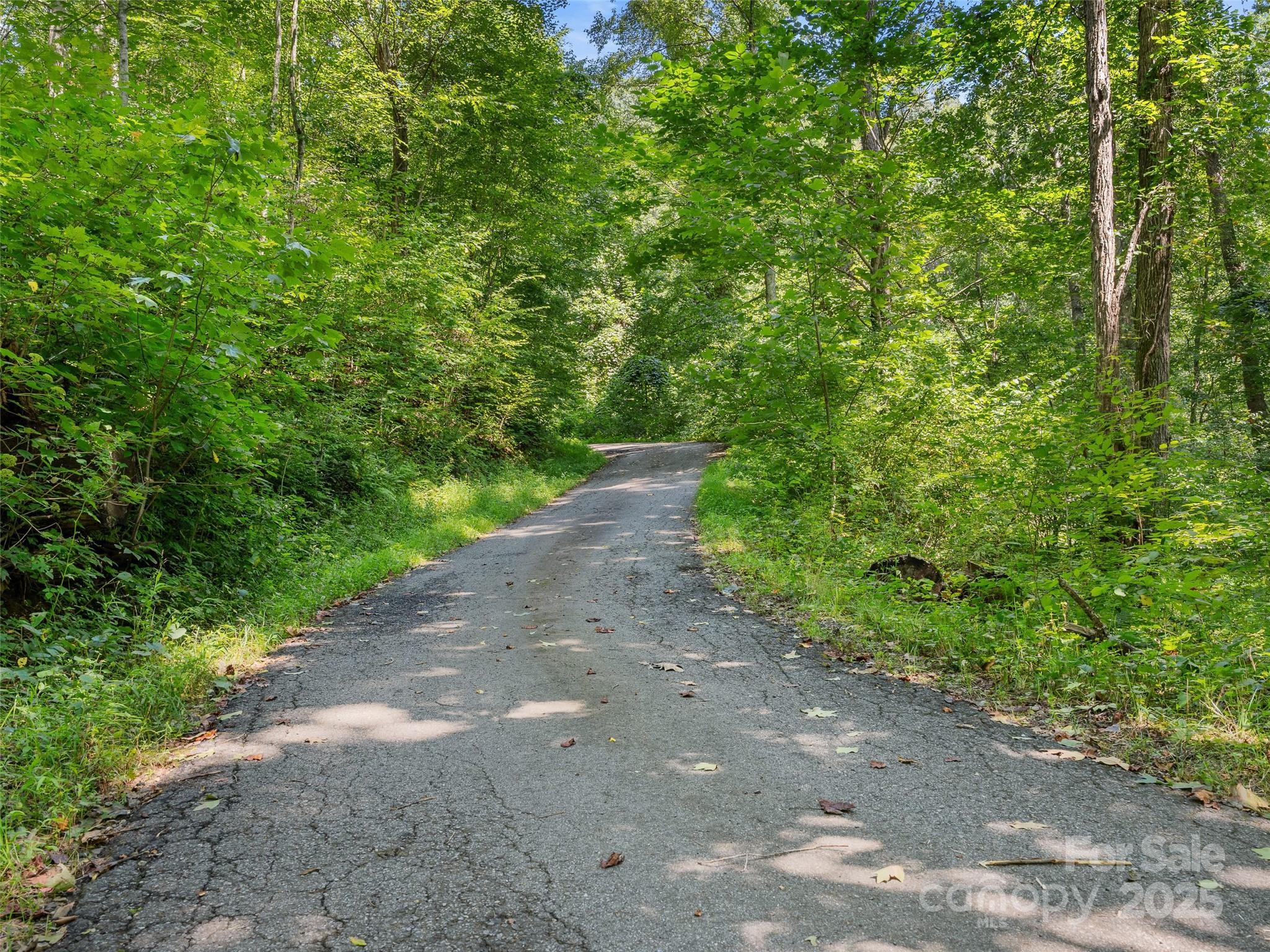 Lot at Lot 69 Falling Glen Drive, Waynesville, photo 4 of 18