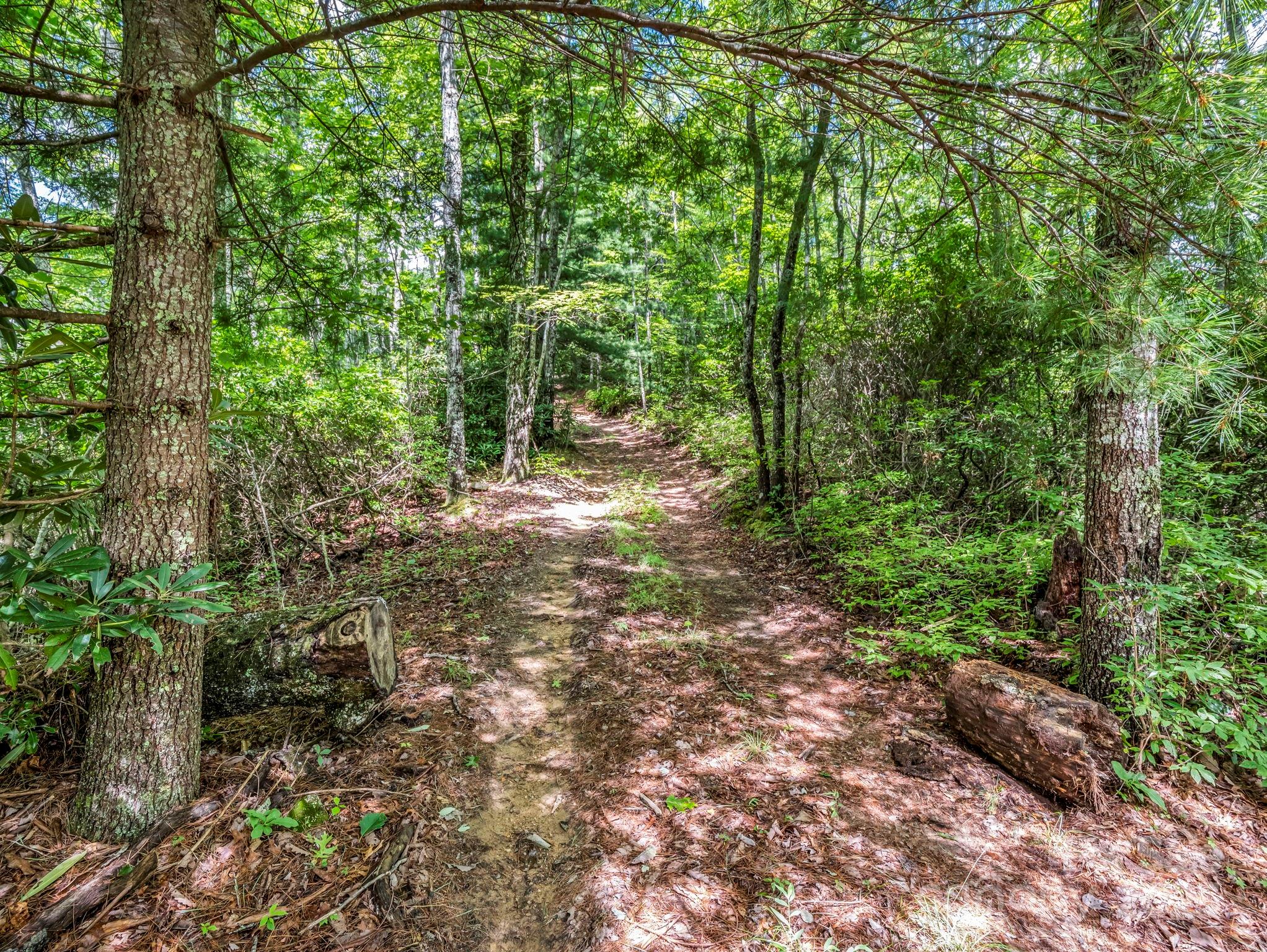Acreage at TBD Frozen Creek Road, Brevard, photo 2 of 30