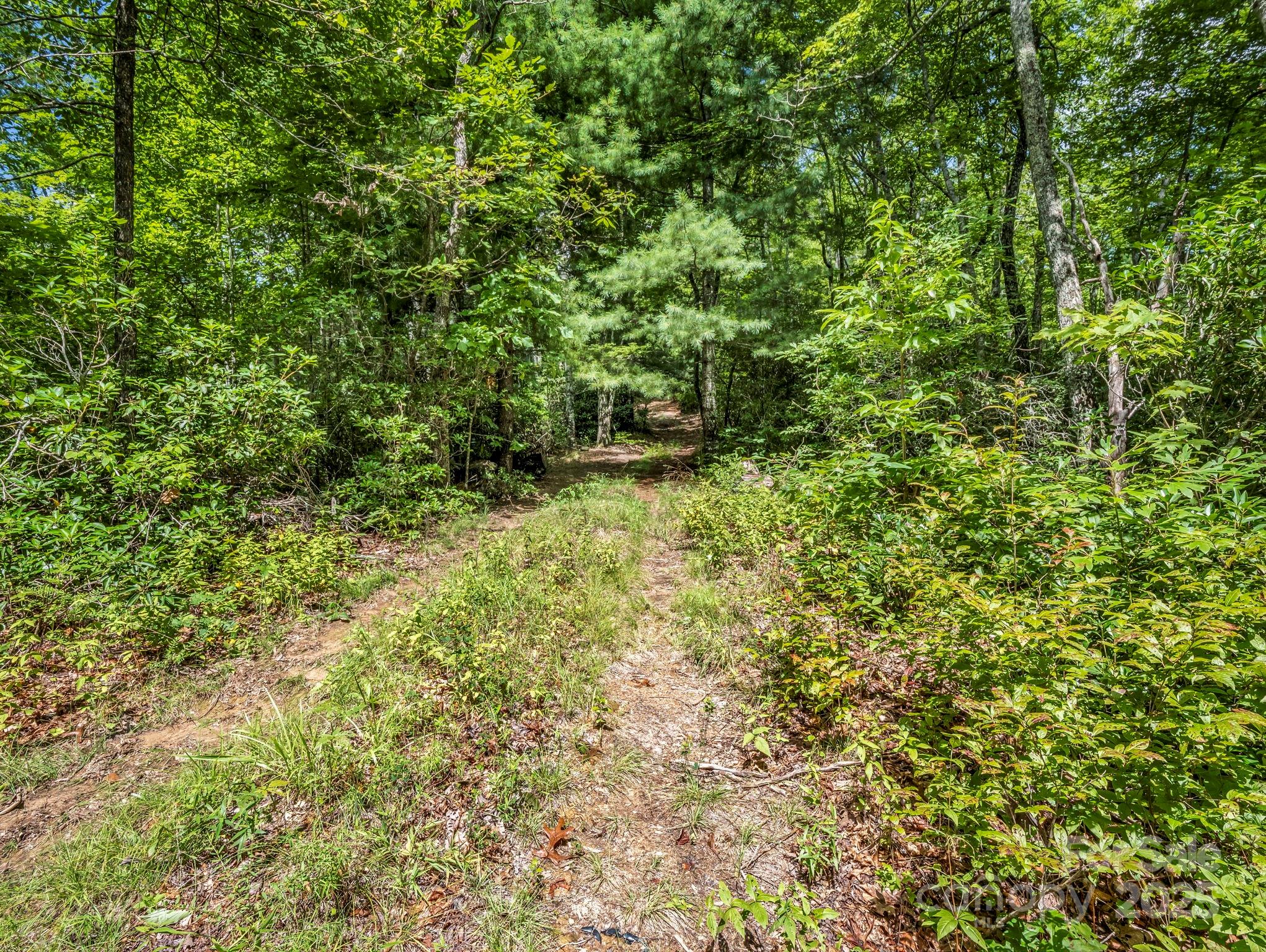 Acreage at TBD Frozen Creek Road, Brevard, photo 5 of 30