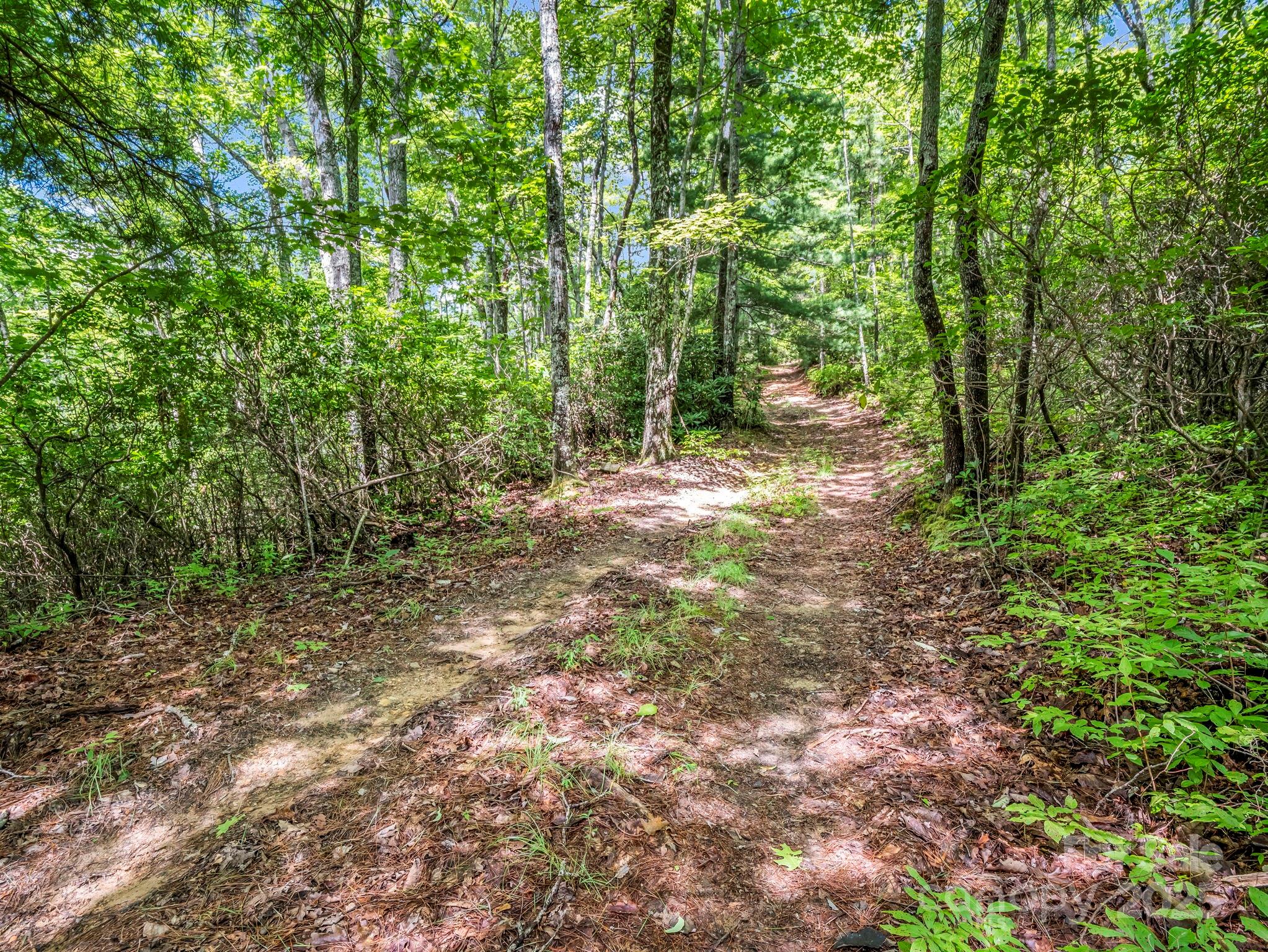 Acreage at TBD Frozen Creek Road, Brevard, photo 6 of 30