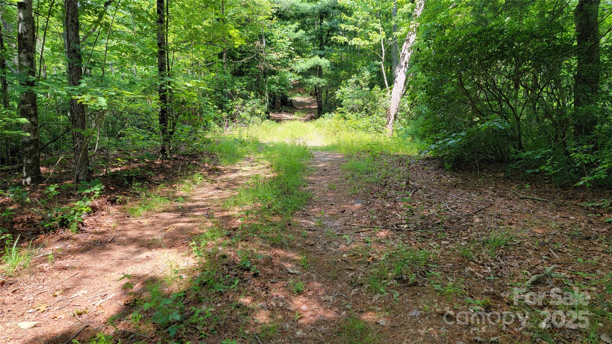 Acreage at TBD Frozen Creek Road, Brevard, photo 21 of 30