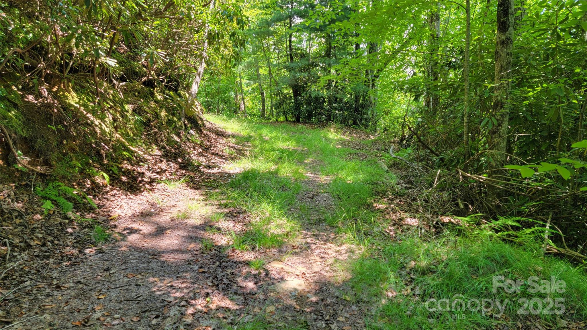 Acreage at TBD Frozen Creek Road, Brevard, photo 23 of 30