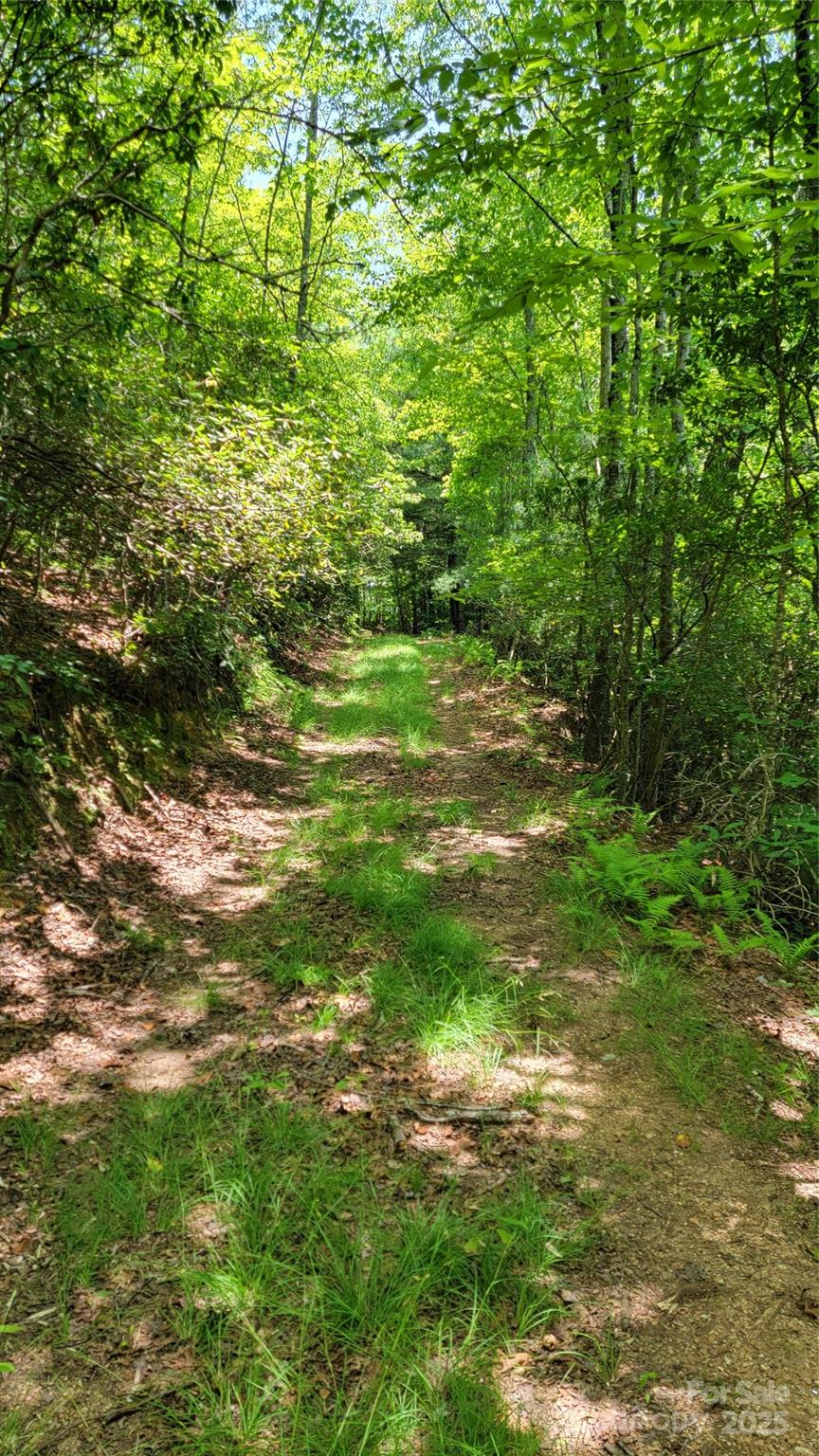 Acreage at TBD Frozen Creek Road, Brevard, photo 24 of 30