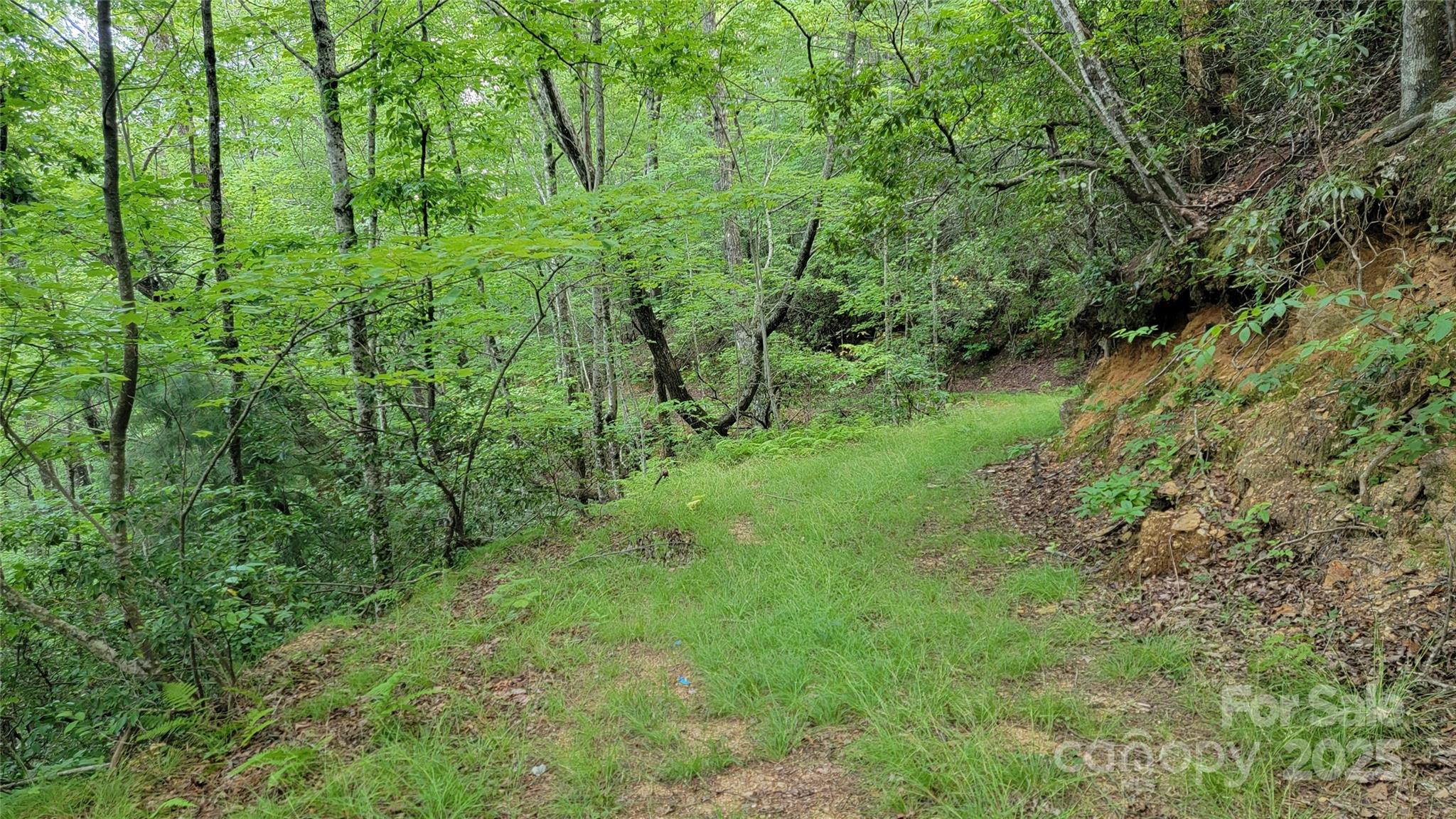 Acreage at TBD Frozen Creek Road, Brevard, photo 30 of 30