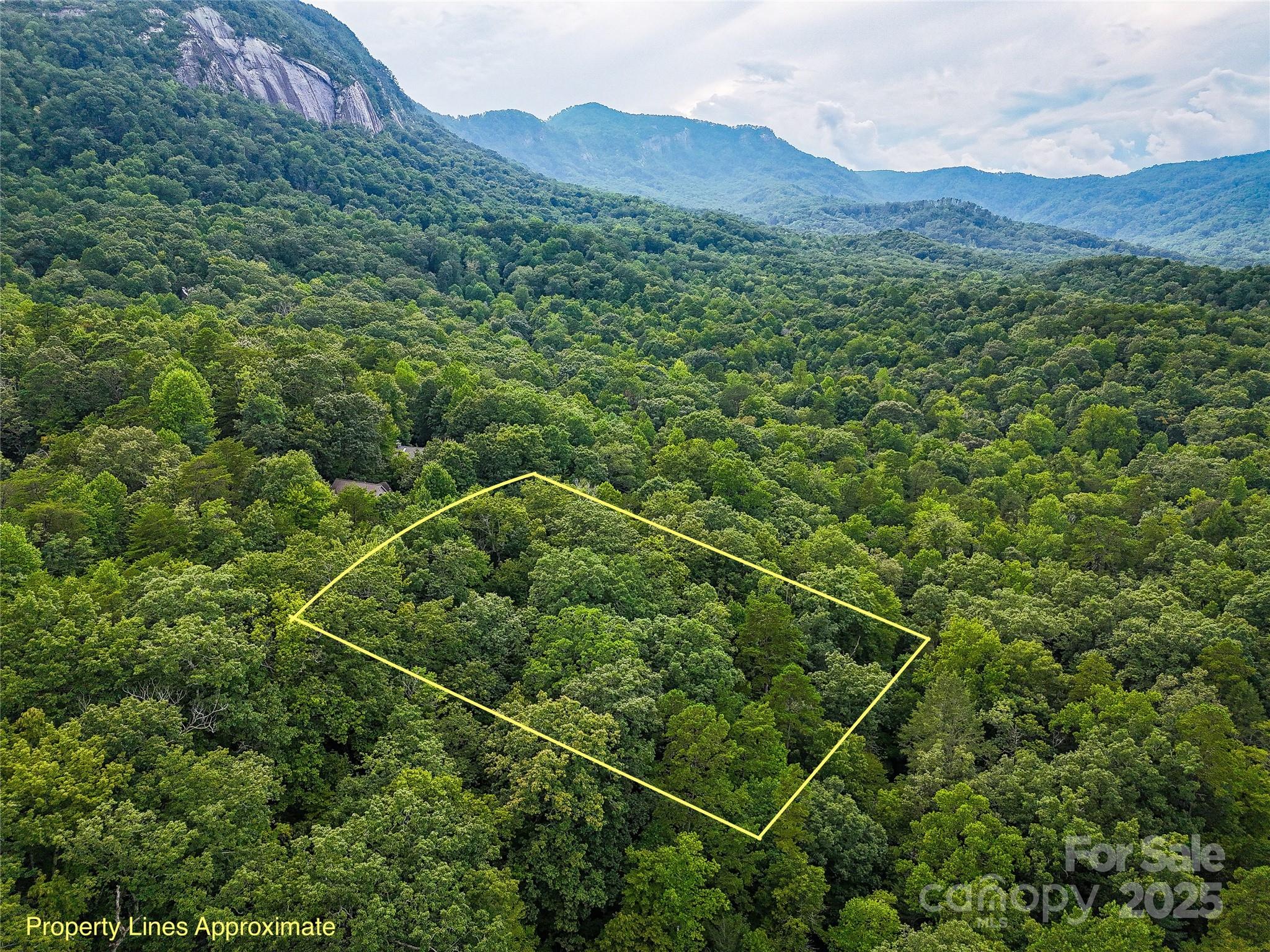 Lot at TBD Rumbling Bald Road, Lake Lure, photo 2 of 21