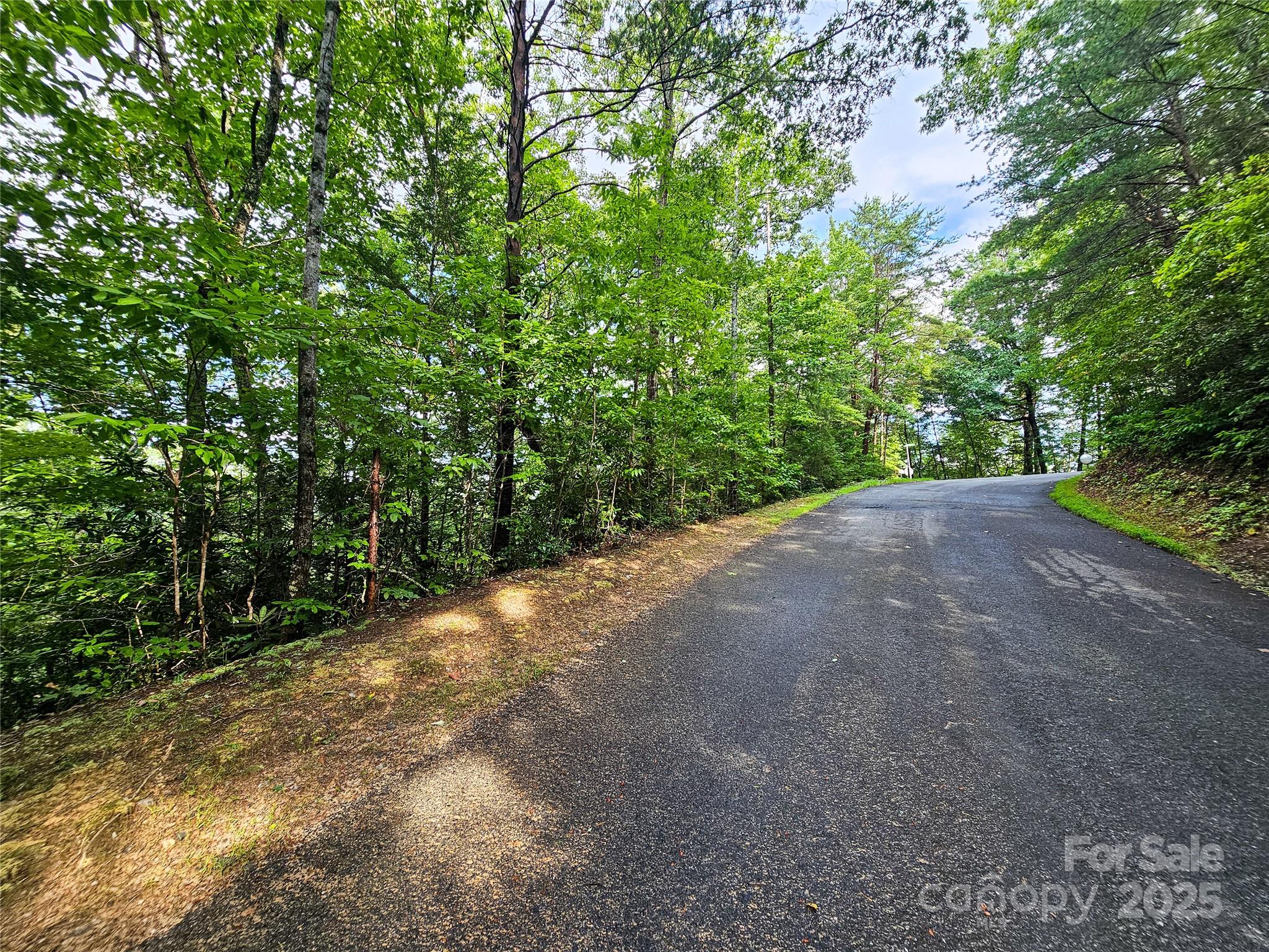 TBD Rumbling Bald Road