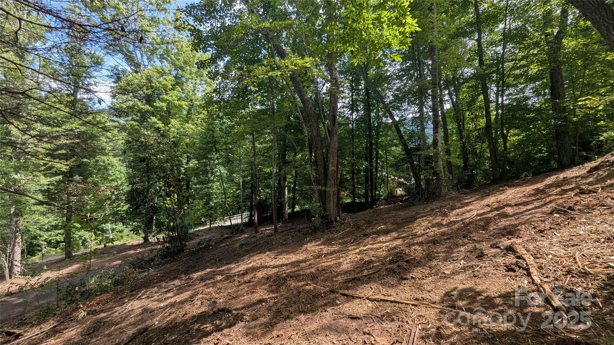 Lot at 707 Apple Tree Court, Waynesville, photo 2 of 12