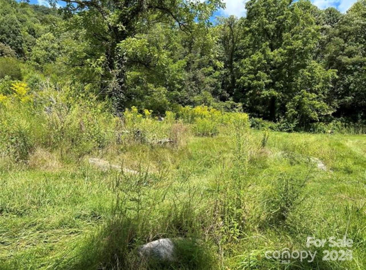 Lower part of land / pasture - 108 Lanning Road, Clyde