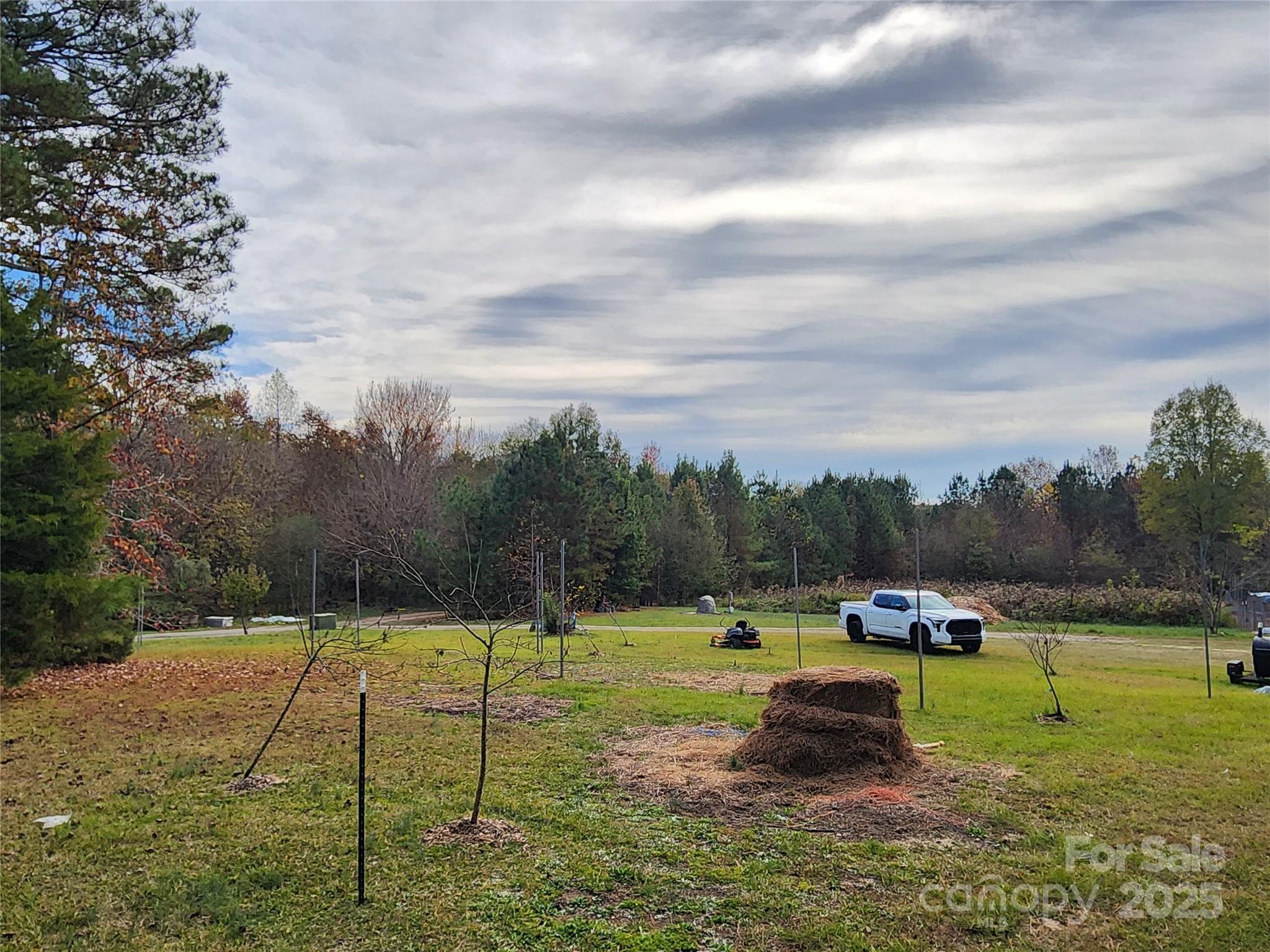 Acreage at 1202 Willow Brook Road, Nashville, photo 13 of 20