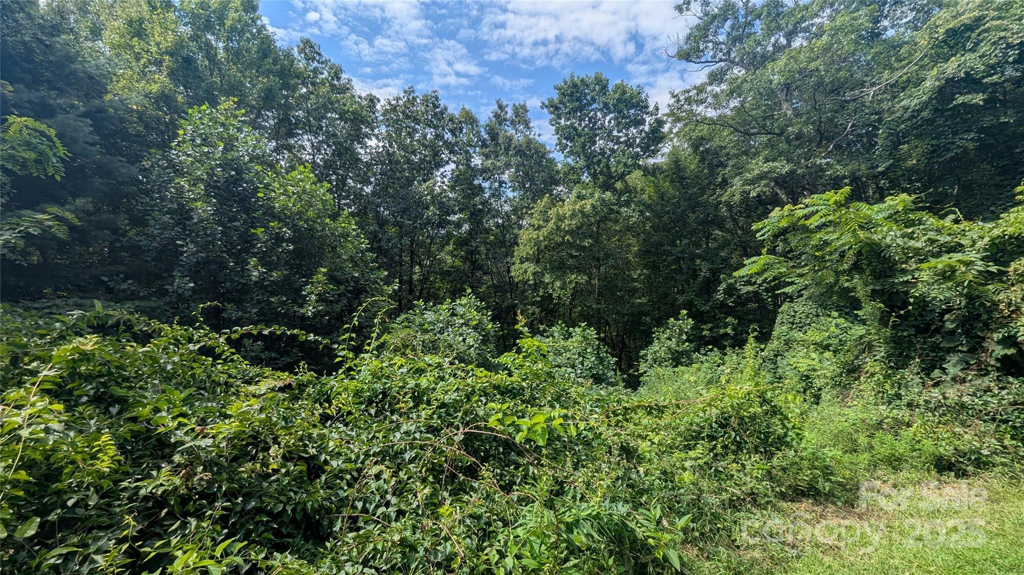 Lot at 00 Pinewood Drive, Waynesville, photo 2 of 8