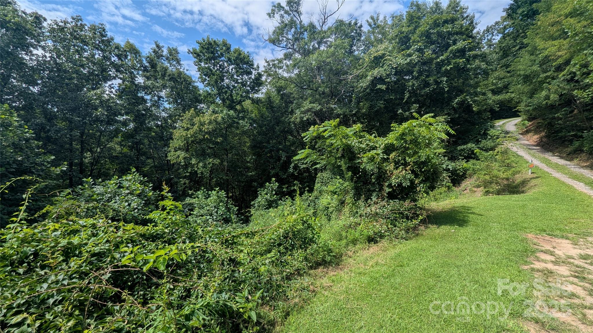 Lot at 00 Pinewood Drive, Waynesville, photo 3 of 8