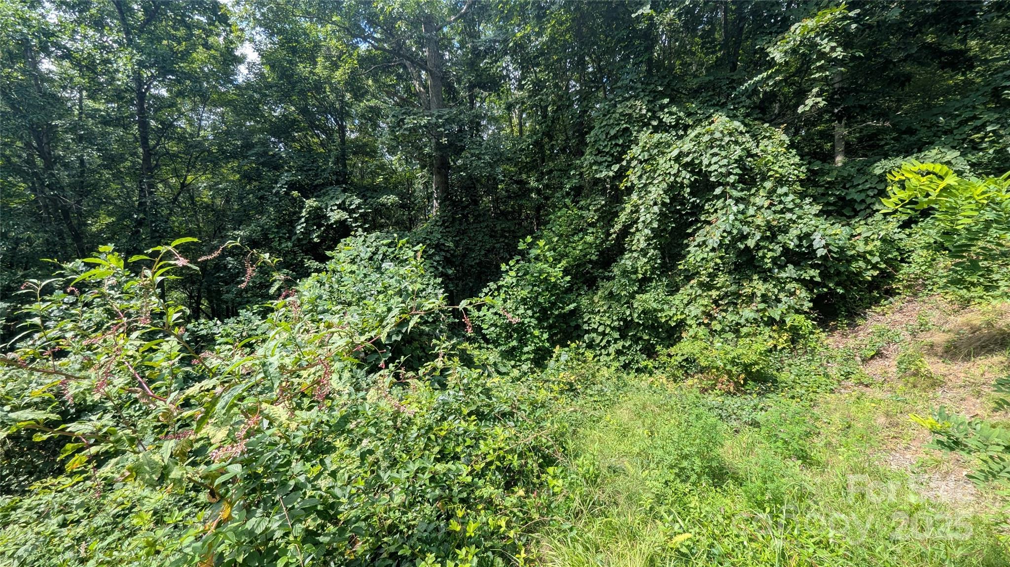 Lot at 00 Pinewood Drive, Waynesville, photo 4 of 8