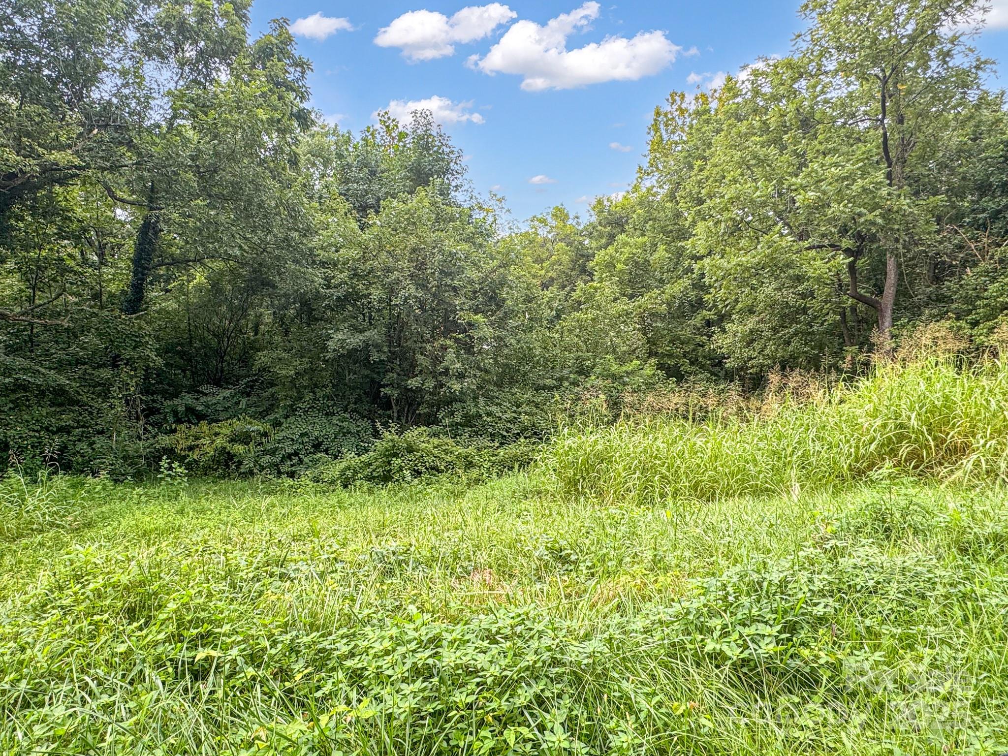 Lot at 445 Newton Avenue, Statesville, photo 3 of 6