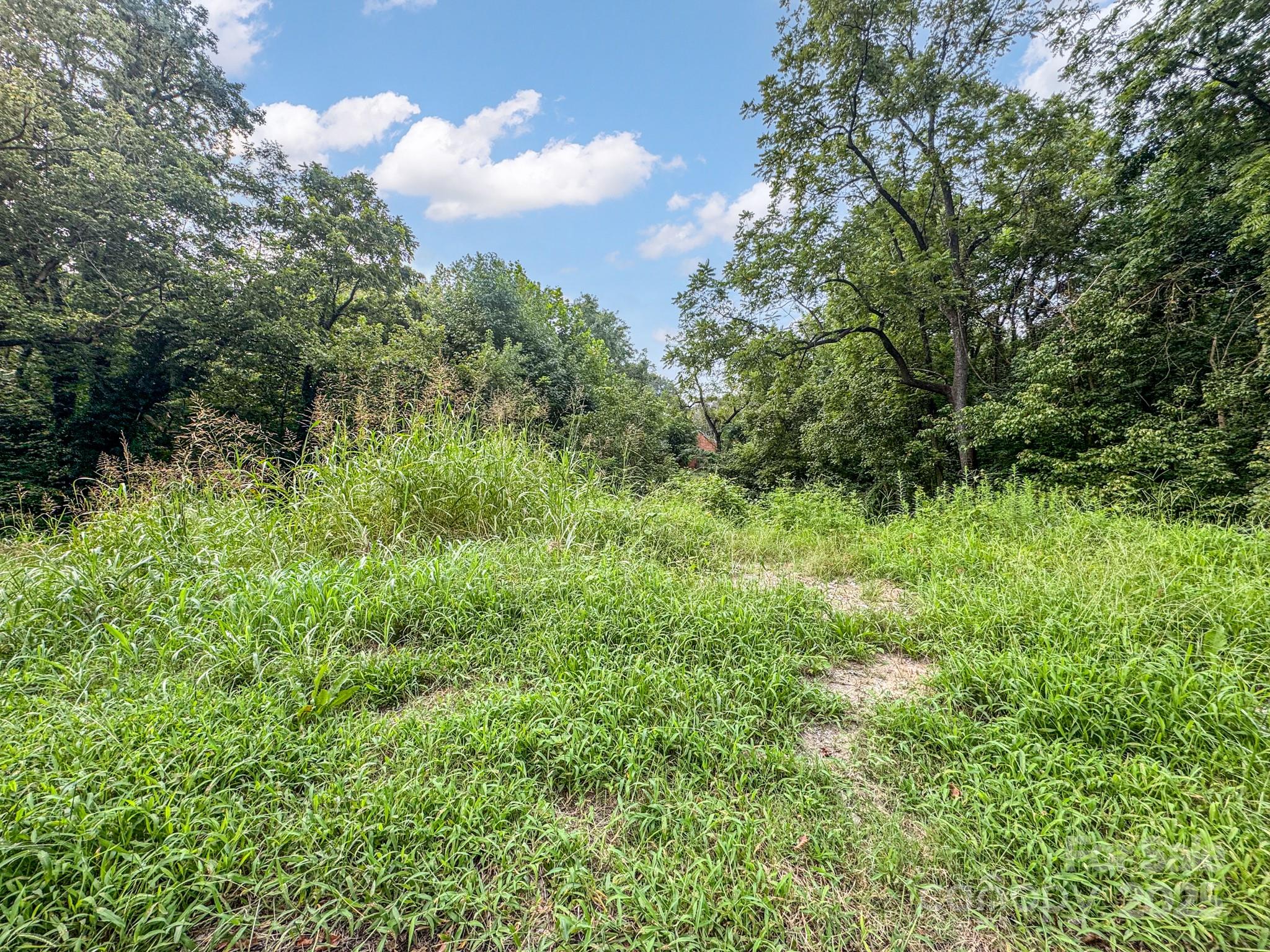 Lot at 445 Newton Avenue, Statesville, photo 4 of 6