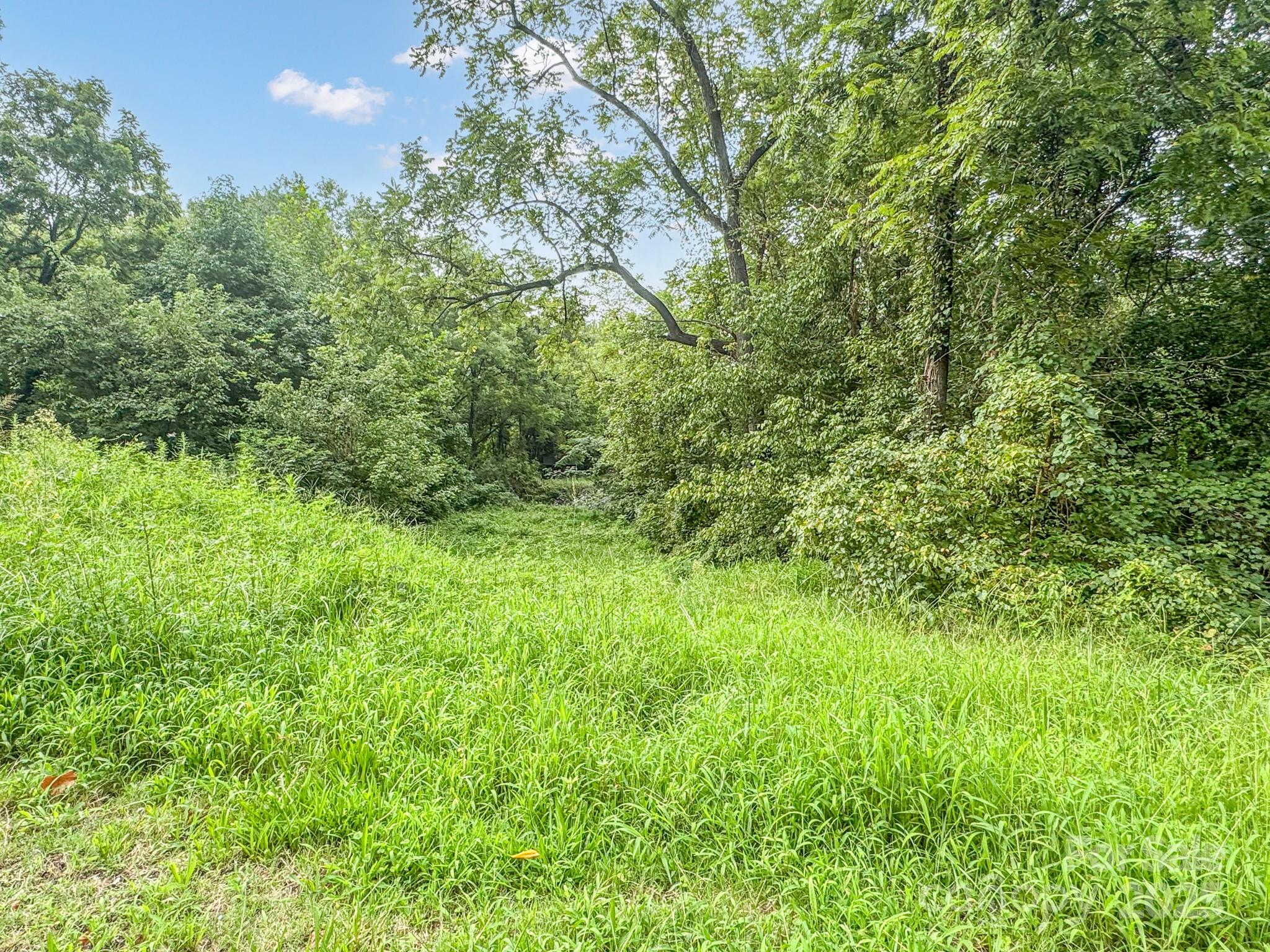 Lot at 445 Newton Avenue, Statesville, photo 5 of 6