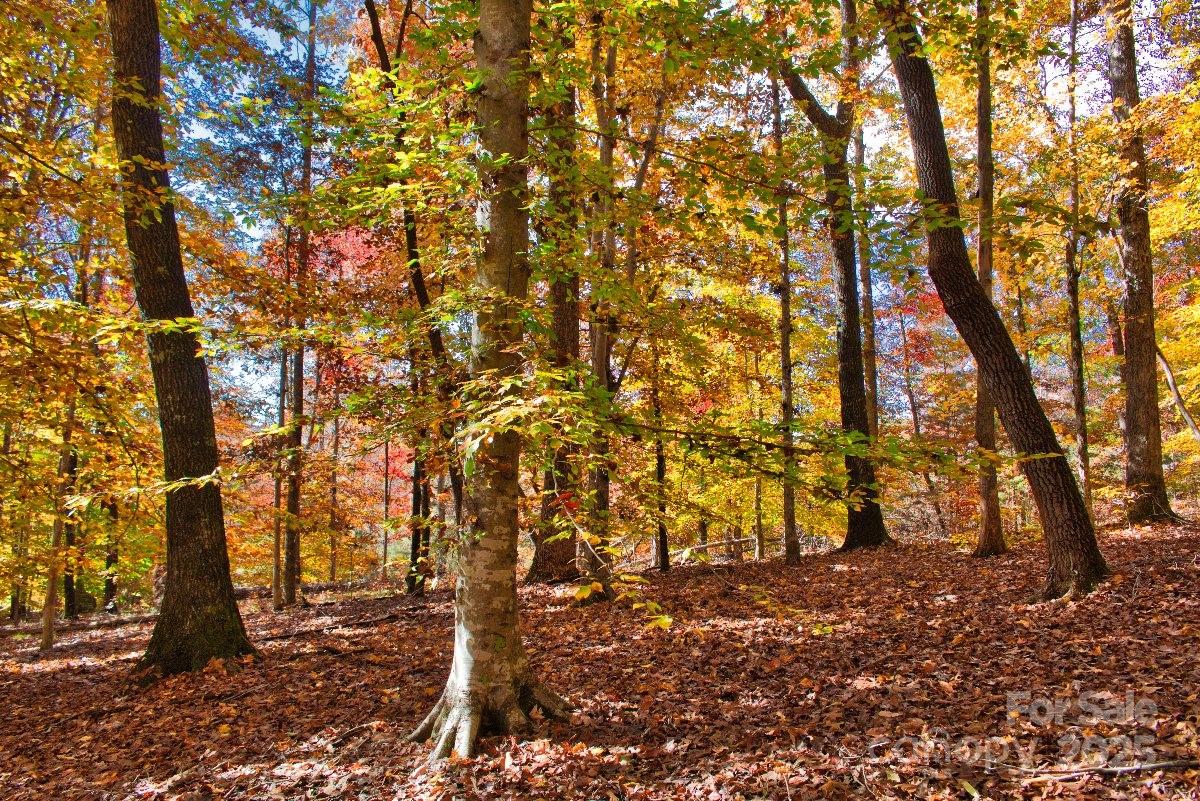 Lot at 0 Cinnamon Ridge, Rutherfordton, photo 6 of 6