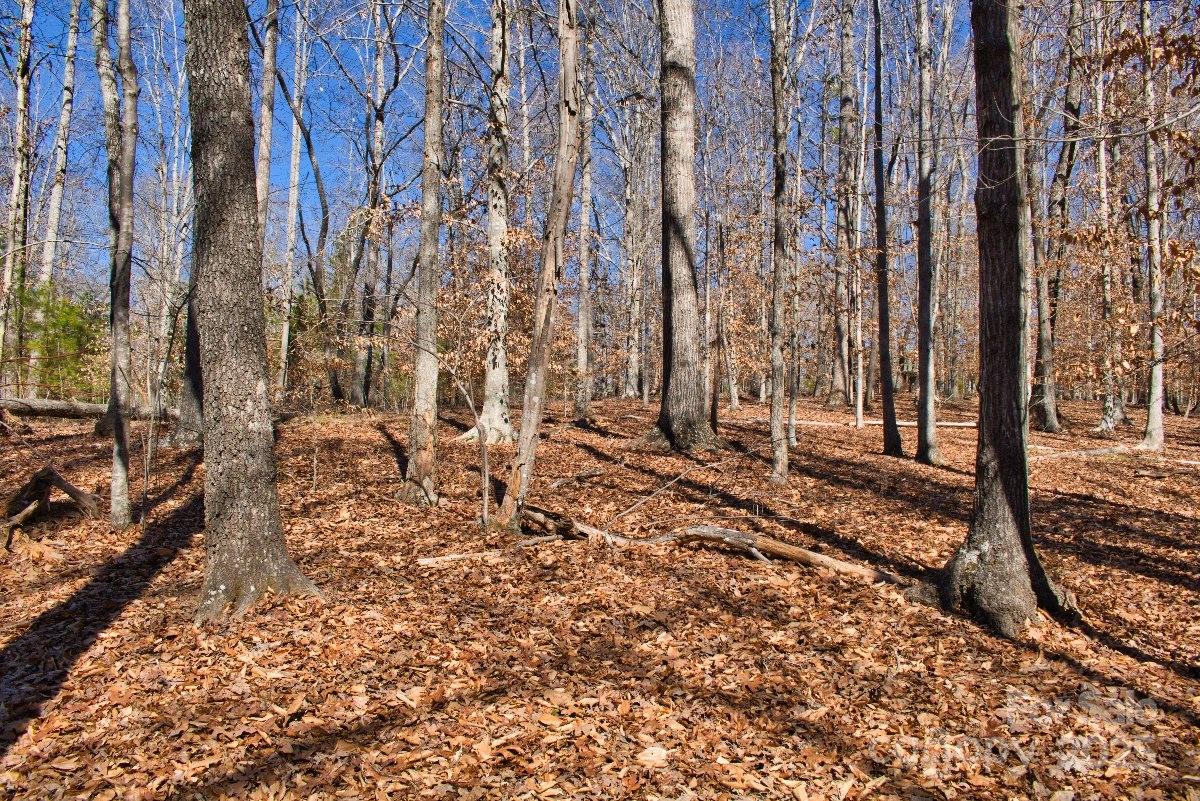 0 Cinnamon Ridge