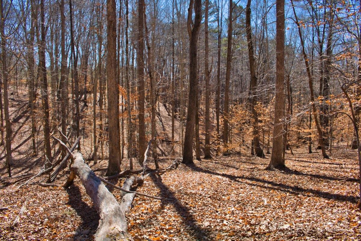 Lot at 0 Cinnamon Ridge, Rutherfordton, photo 4 of 6