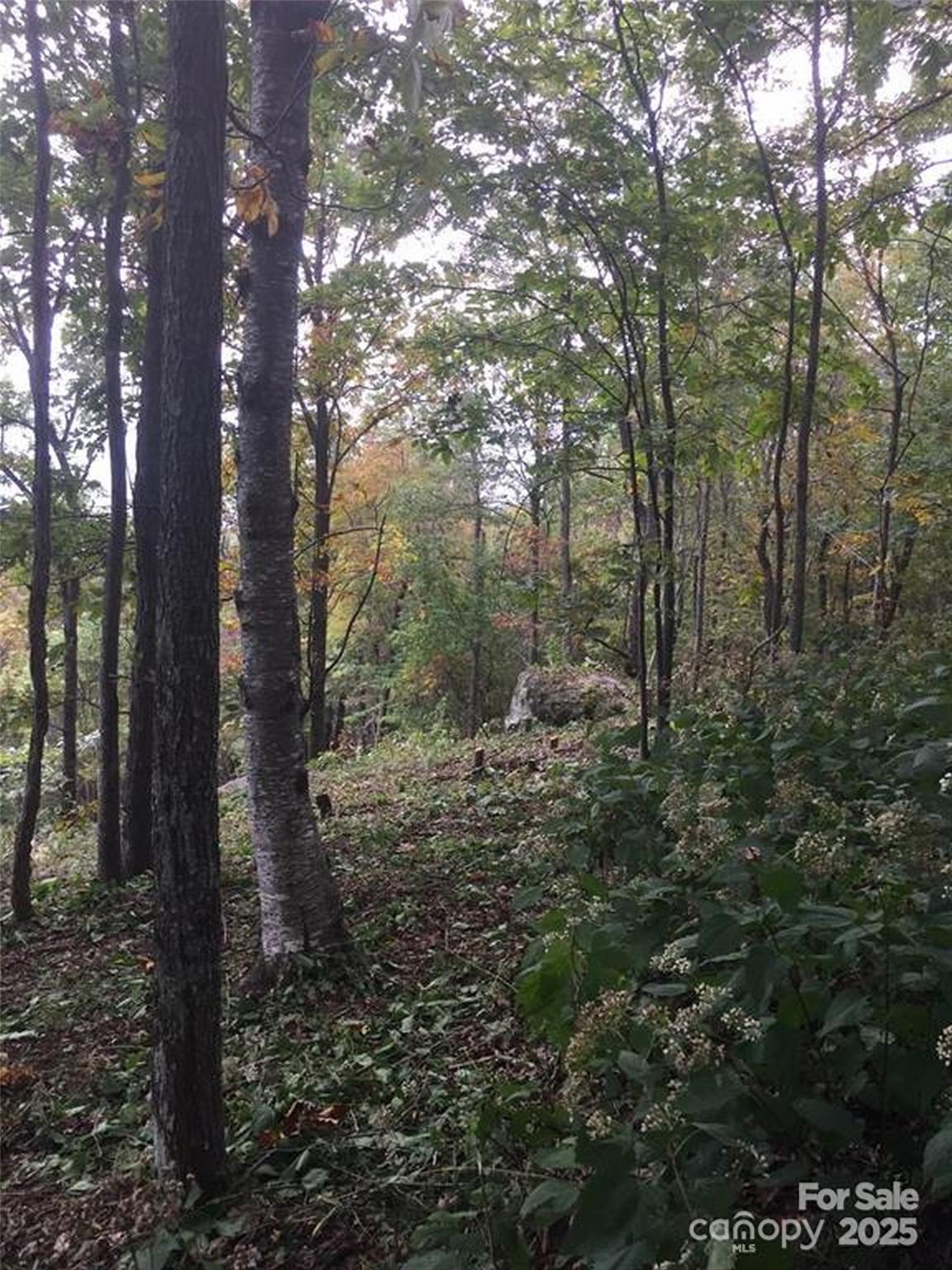 Lot at 00 Morning Ride Drive, Columbus, photo 8 of 8