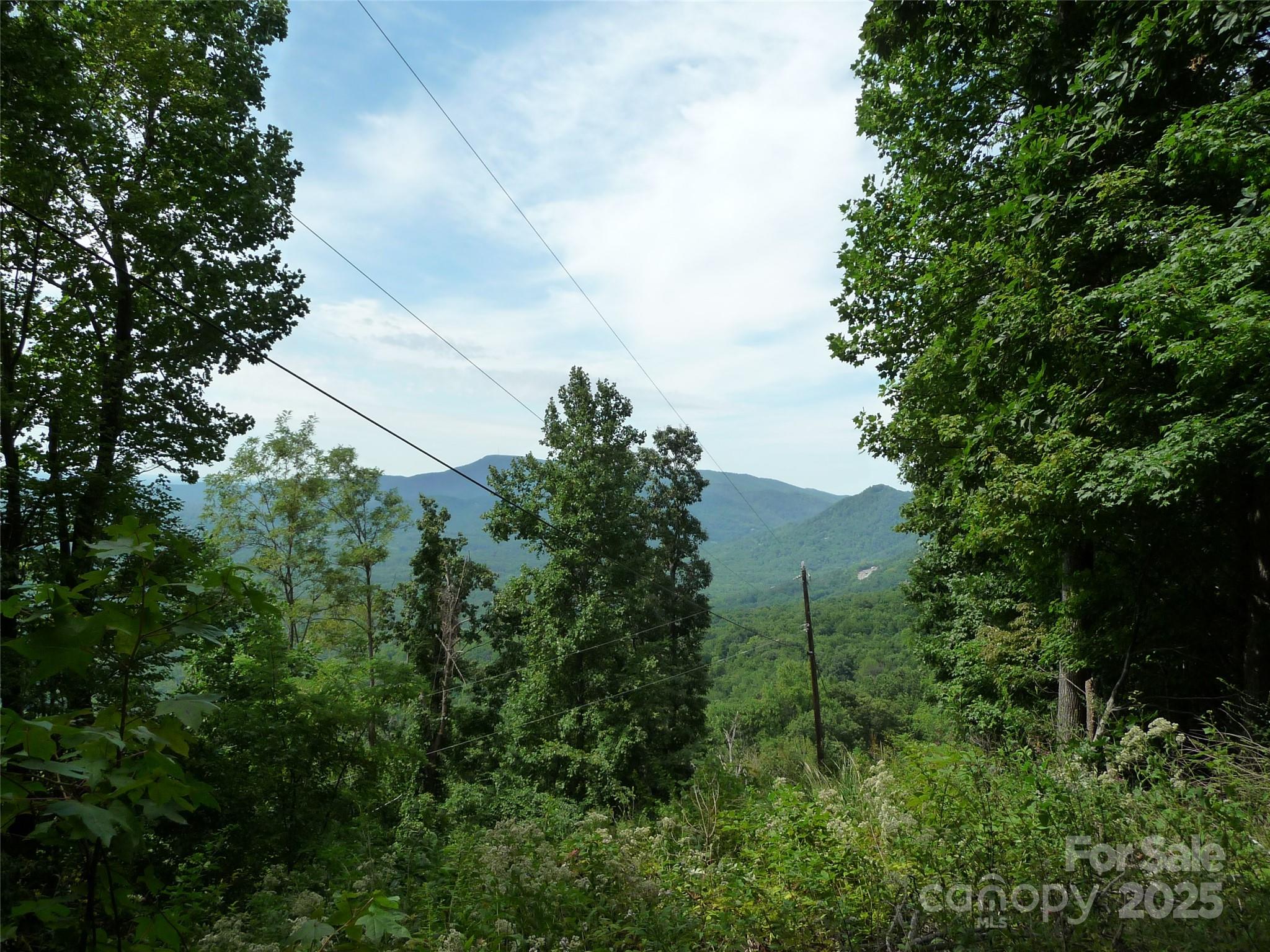 Lot 9 Skyuka Mountain Rd Homesite - 999 Skyuka Mountain Road, Columbus