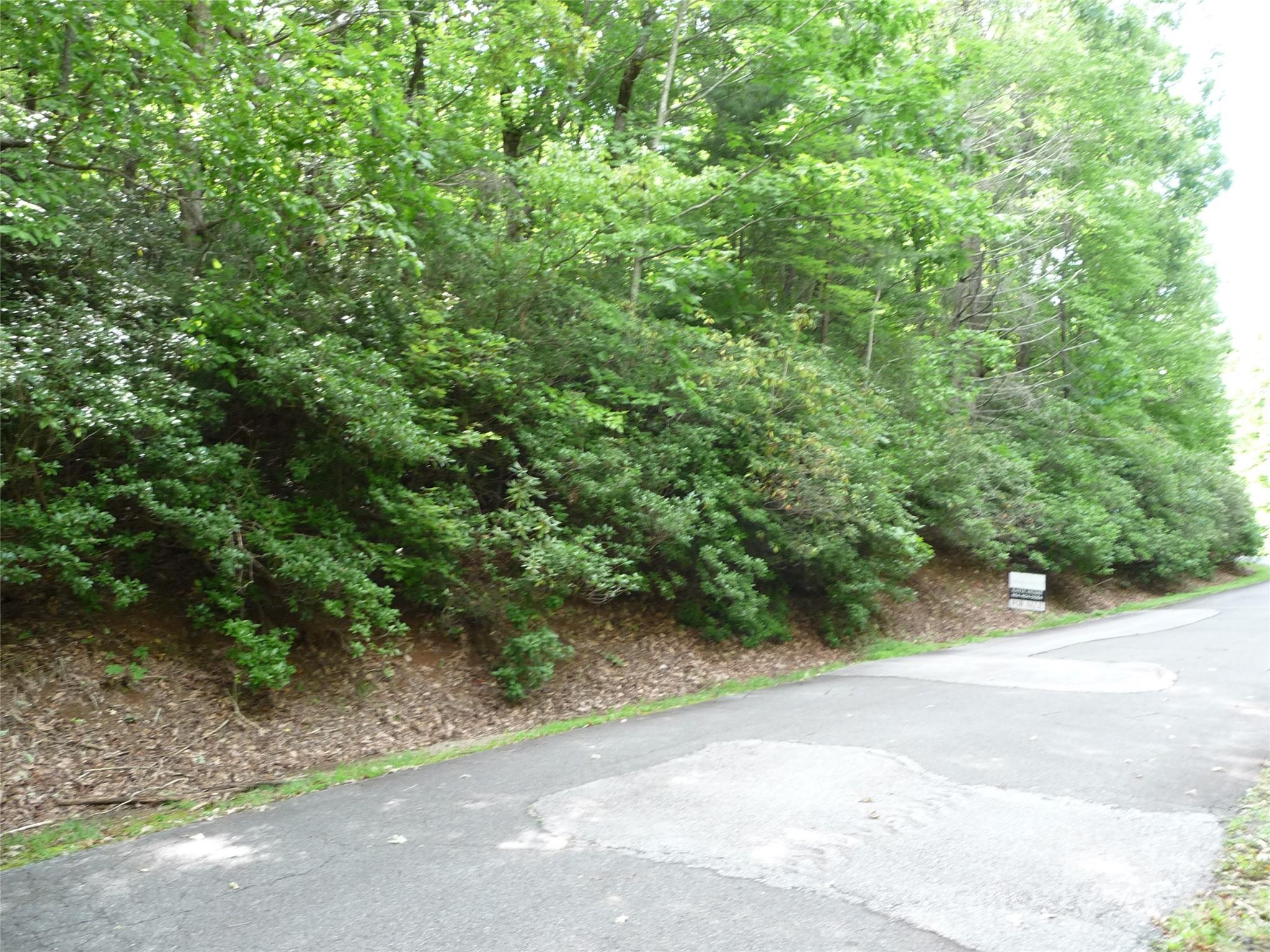Serpentine Drive Lot 70 Homesite - Lot 70 Serpentine Drive, Columbus