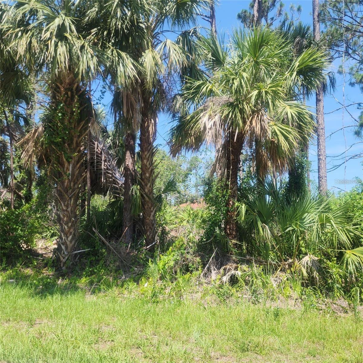 Land at ALIBI TER, NORTH PORT