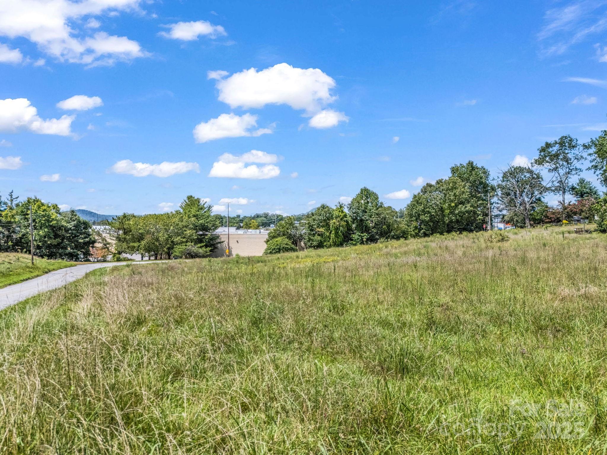 Lot at 410 Freeman Street, Hendersonville, photo 18 of 28