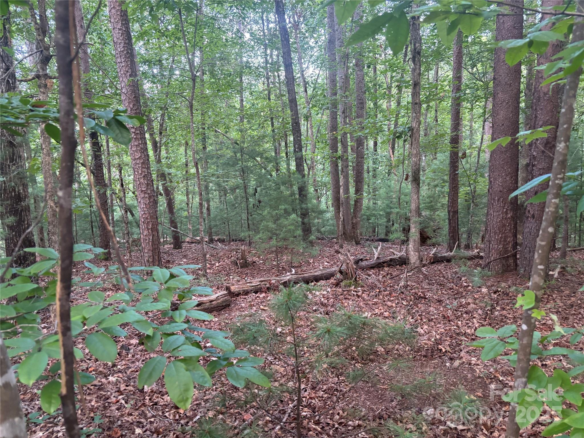 Lot at lots 11/12 South Pointe Road, Mill Spring, photo 5 of 11