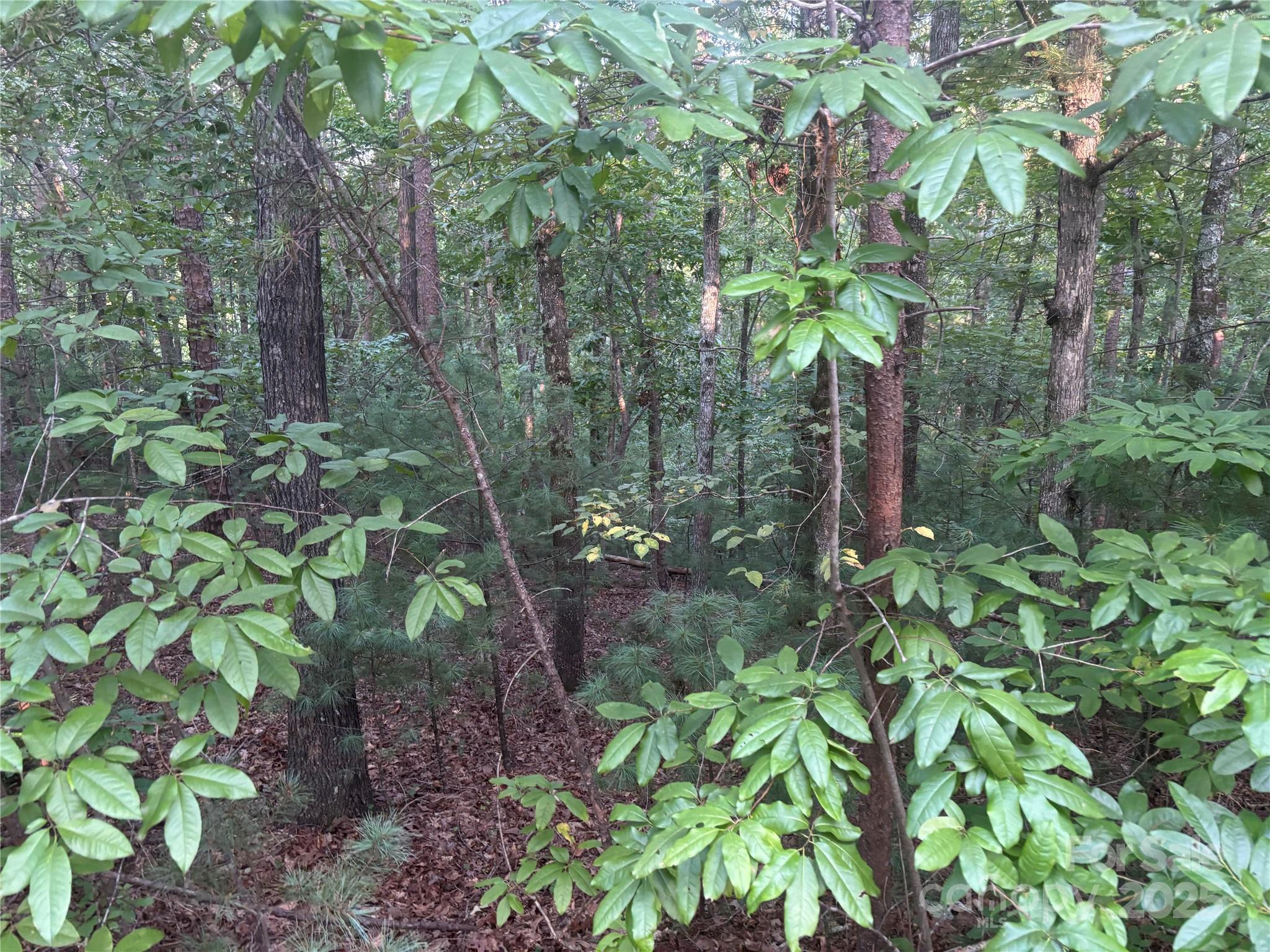 Lot at lots 11/12 South Pointe Road, Mill Spring, photo 6 of 11